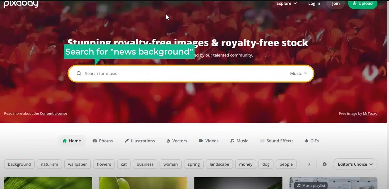 How to Create Your Own AI News Channel
